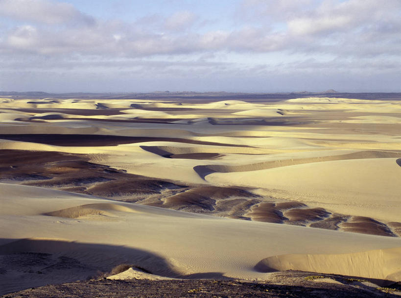 健壮,无人,横图,阶调图片,室外,沙漠,非洲,纳米比亚,阴影,沙子,地平线,地形,沙丘,风景,摄影,干的,永远,纳米比亚共和国,大漠,砂漠,彩图