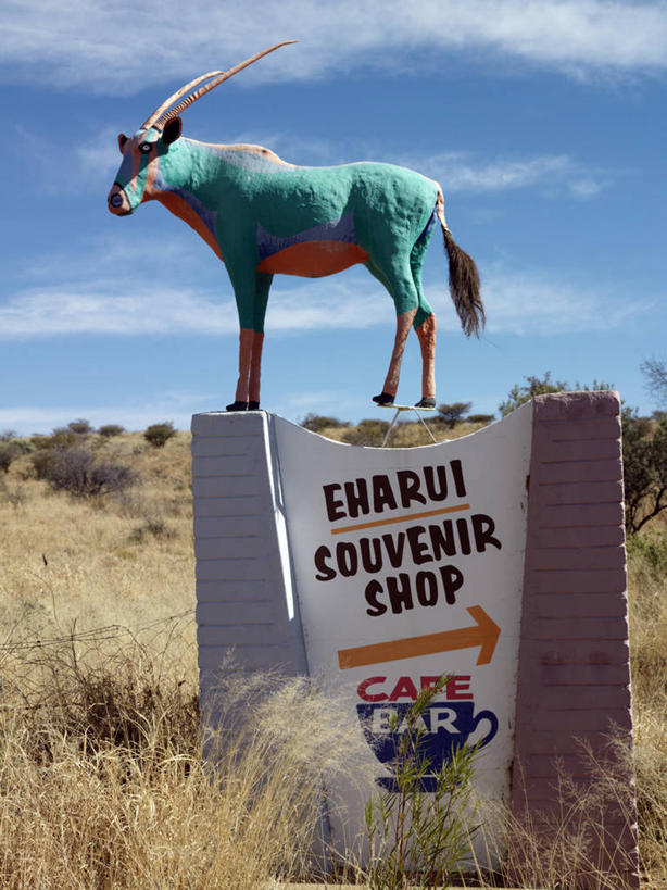 无人,竖图,彩色,旅游,野生动物,雕塑,纳米比亚,雕像,牌子,首都,招牌,动物,摄影,五颜六色,色彩斑斓,五彩缤纷,交通标志,长角羚,五彩斑斓,温得和克,五光十色,彩图,旅行,店标