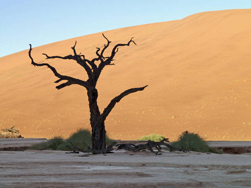 无人,横图,室外,沙漠,纳米比亚,沙子,沙丘,摄影,骨架,气候,干的,纳米布沙漠,开端,彩图