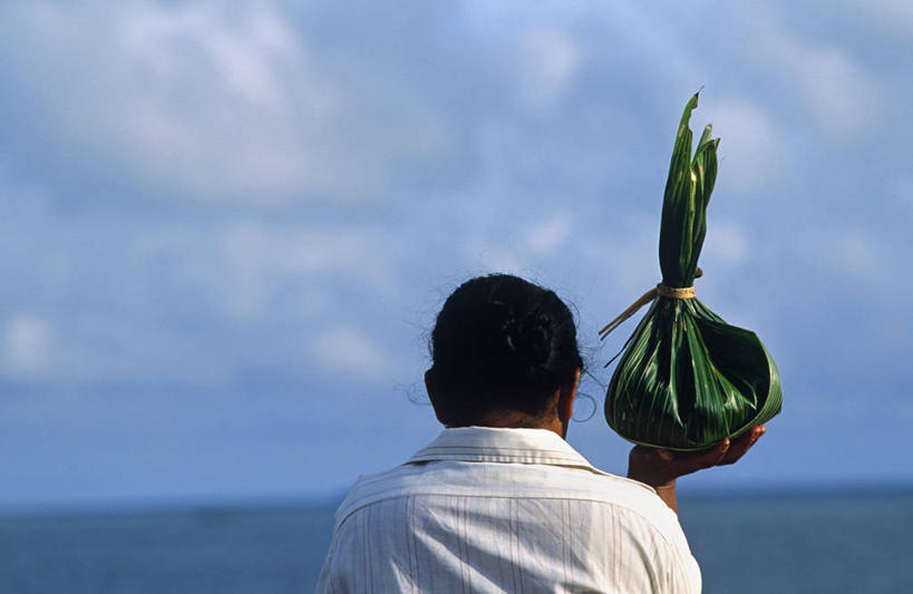 成年人,一个人,渔夫,横图,旅游,度假,商务,海洋,水,汤加,仅一个女性,包装,热,鱼类,风景,社区,摄影,生活方式,热带气候,南太平洋,太平洋岛屿,女人,群岛,彩图,钓鱼,旅行