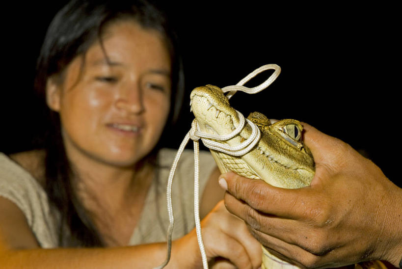 一个人,横图,探险,秘鲁,科学,动物,线绳,南美,摄影,保护,拉丁美洲,黑宽吻凯门鳄,环境保护,濒危物种,彩图,人老心不老