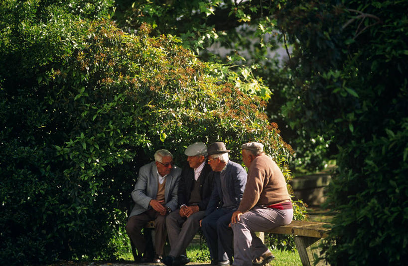 成年人,老年人,公园,横图,室外,友谊,城市,椅子,葡萄牙,欧洲,会议,长椅,乡村,城镇,历史,社区,夏天,摄影,退休,阿连特茹,老年男性,男人,男性,说话,彩图,传统文化,波塔莱格里