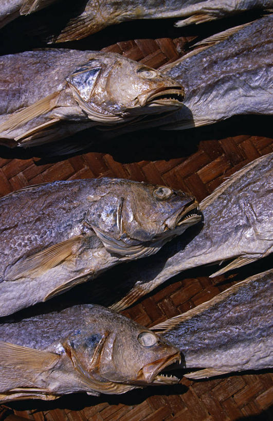 无人,竖图,香港,乡村,鱼干,食品,摄影,大屿山,烘干,海产,彩图,传统文化