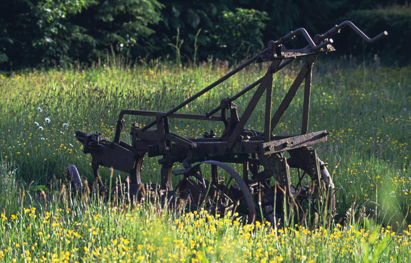 无人,横图,室外,牧场,草地,爱尔兰,干草,花,春天,夏天,摄影,爱尔兰共和国,克莱尔郡,彩图,传统文化