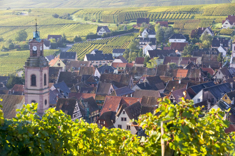 无人,横图,俯视,室外,法国,欧洲,乡村,葡萄园,摄影,阿尔萨斯,西欧,法国文化,彩图,高角度拍摄