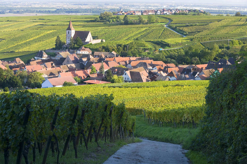 无人,横图,室外,法国,欧洲,乡村,葡萄园,摄影,阿尔萨斯,西欧,法国文化,彩图