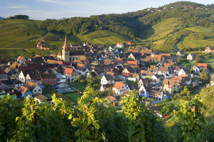 无人,横图,室外,法国,欧洲,乡村,葡萄园,摄影,阿尔萨斯,西欧,法国文化,彩图