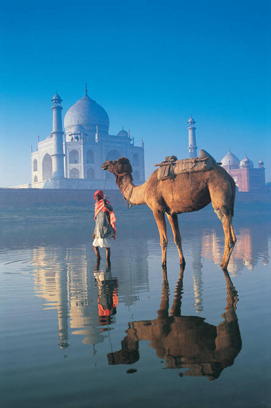 成年人,一个人,竖图,室外,河流,泰姬陵,印度,亚洲,仅一个男性,反射,骆驼,地标建筑,摄影,肖像,南亚,阿格拉,印度共和国,北方邦,亚穆纳河,印度次大陆,男人,彩图