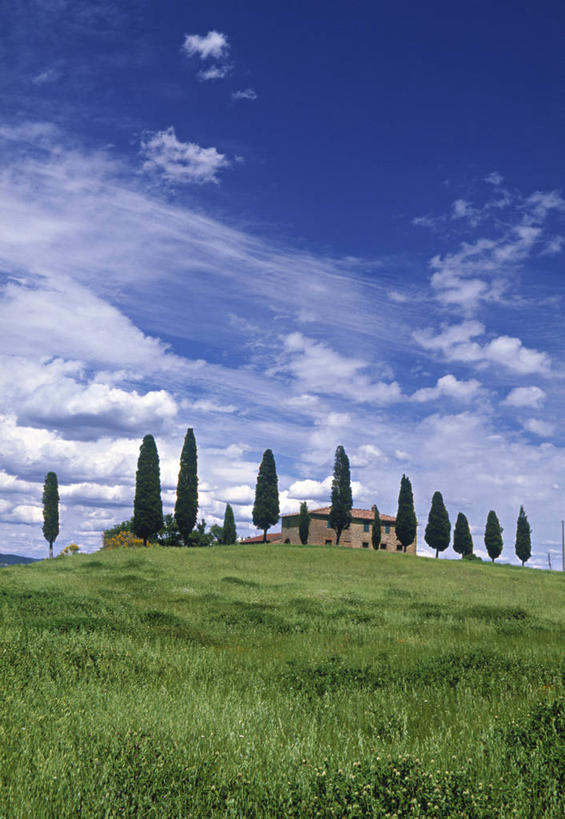 无人,竖图,山,意大利,欧洲,塞浦路斯,房屋,地形,摄影,西欧,地中海文化,南欧,意大利文化,托斯卡纳区,白杨,农舍,彩图