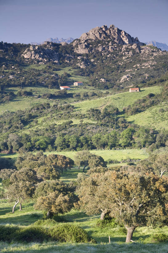 无人,竖图,室外,美景,意大利,岛,地形,景观,田地,自然,景色,摄影,西欧,地中海文化,南欧,自然风光,意大利文化,撒丁岛,月亮谷,彩图