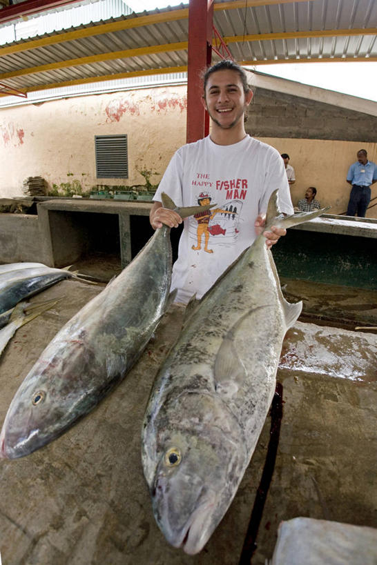 成年人,一个人,竖图,塞舌尔,仅一个男性,岛,鱼类,摄影,印度洋,肖像,马埃岛,男人,彩图