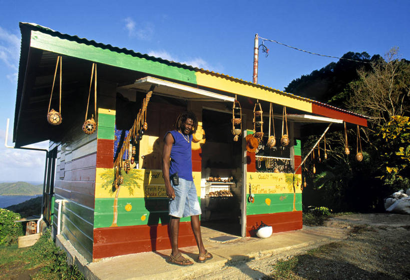 横图,岛,纪念品,摄影,多巴哥岛,彩图,礼品店