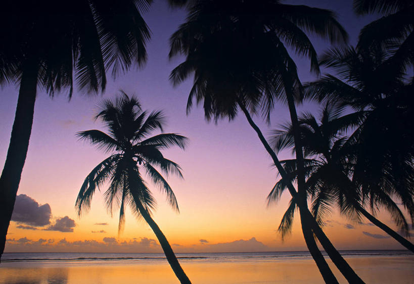 无人,横图,室外,旅游,度假,日落,棕榈树,岛,娱乐,享受,休闲,放松,摄影,热带气候,多巴哥岛,海滩,彩图