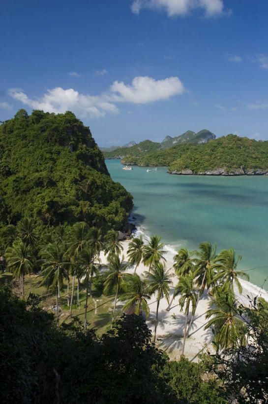 无人,竖图,俯视,室外,海洋,棕榈树,泰国,亚洲,沙子,岛,南海,摄影,东南亚,热带气候,苏梅岛,泰国湾,海滩,彩图,高角度拍摄