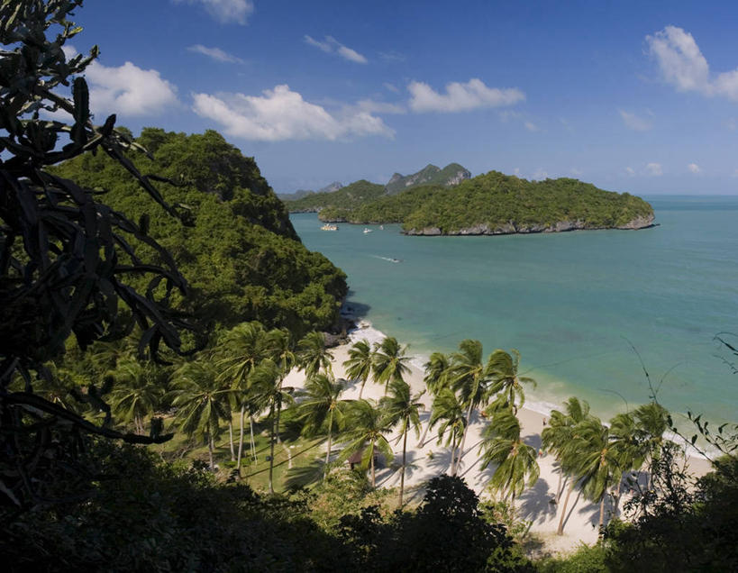 无人,横图,俯视,航拍,室外,海洋,棕榈树,泰国,亚洲,沙子,岛,南海,摄影,东南亚,热带气候,鸟瞰,苏梅岛,泰国湾,海滩,彩图,高角度拍摄