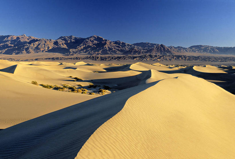 无人,横图,室外,沙漠,美国,沙丘,摄影,北美,加利福尼亚,彩图