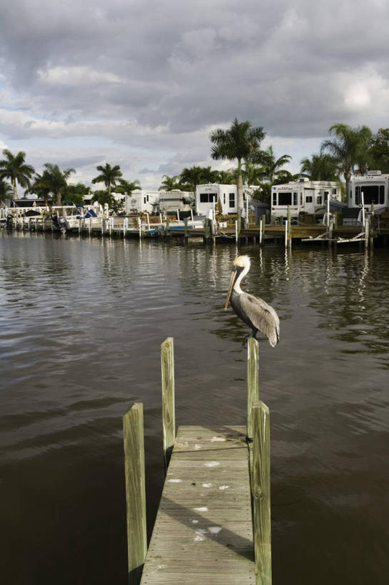 无人,公园,竖图,室外,美国,摄影,北美,北美洲,国家公园,美洲,佛罗里达,游艇码头,佛罗里达州,佛州,阳光州,北亚美利加洲,亚美利加洲,埃弗格莱兹国家公园,大沼泽国家公园,大沼泽地国家公园,美国人,彩图,美利坚合众国