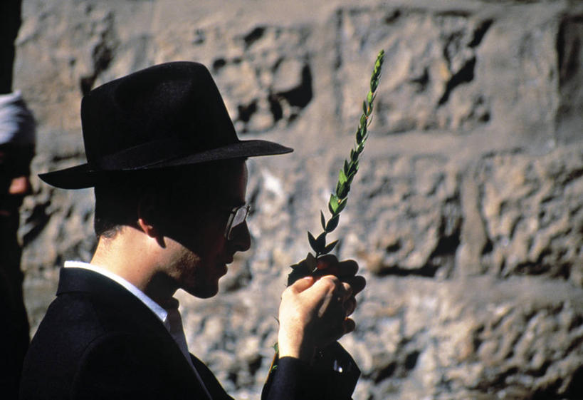 一个人,横图,以色列,摄影,宗教,中东,犹太教,彩图,旅行,传统文化