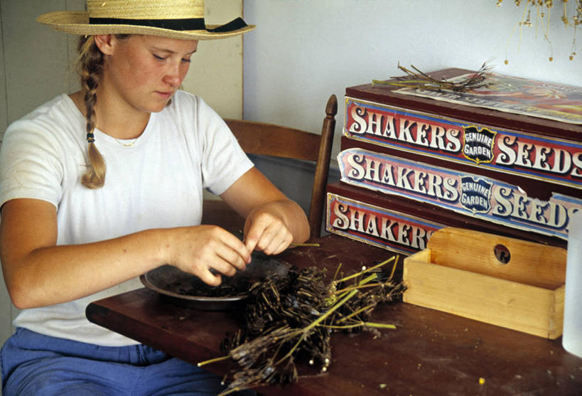 一个人,横图,美国,历史,社区,摄影,北美,马萨诸塞,彩图,旅行,震颤派