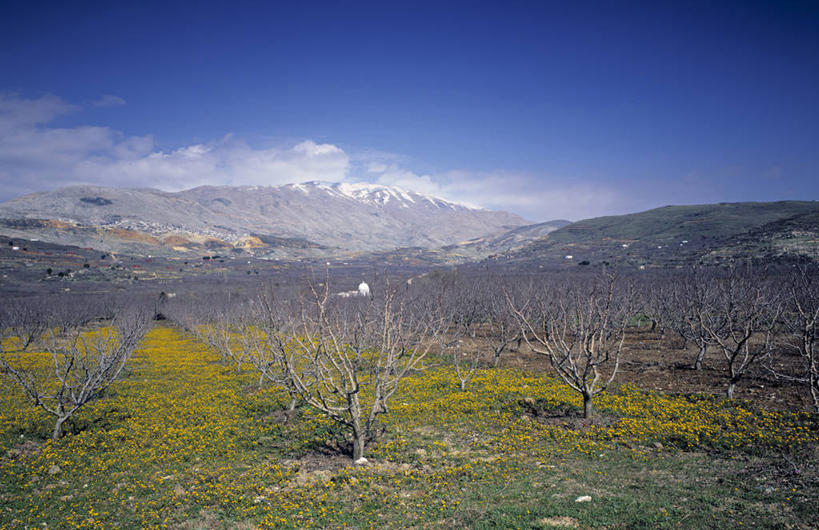 无人,横图,以色列,摄影,中东,彩图,旅行,戈兰高地