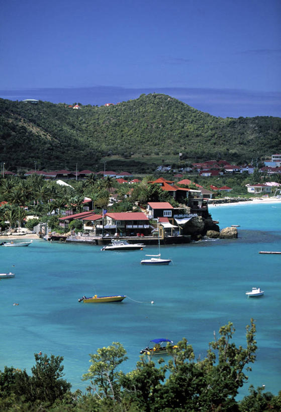 无人,竖图,室外,岛,摄影,热带气候,海滩,彩图,旅行,圣巴泰勒米,法国海外领土