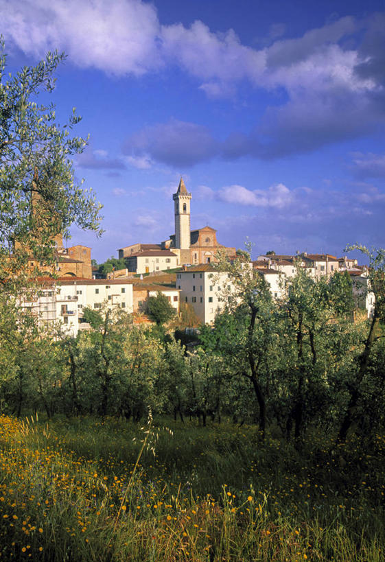 无人,竖图,意大利,欧洲,摄影,托斯卡纳区,彩图