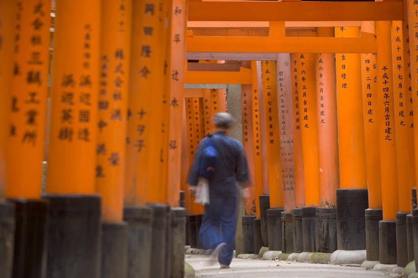 一个人,横图,京都,日本,亚洲,日本文化,鸟居,摄影,京都府,神殿,东亚,本州,本州岛,日本国,近畿地方,近畿,伏见稻荷大社,伏见区,彩图