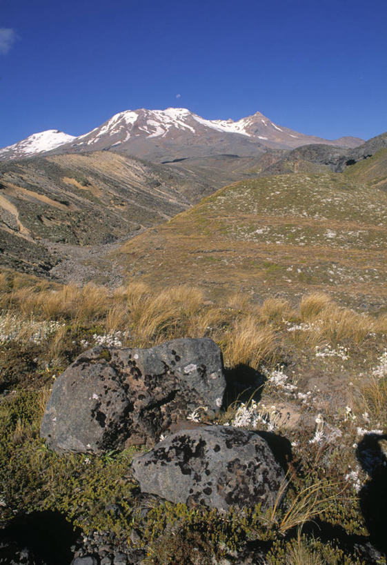 无人,竖图,室外,火山,新西兰,摄影,澳大拉西亚,鲁阿佩胡山,彩图