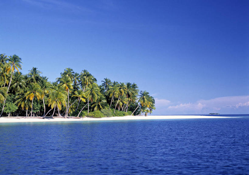 无人,横图,室外,棕榈树,马尔代夫,岛,摄影,热带气候,天堂镇,海滩,彩图,旅行