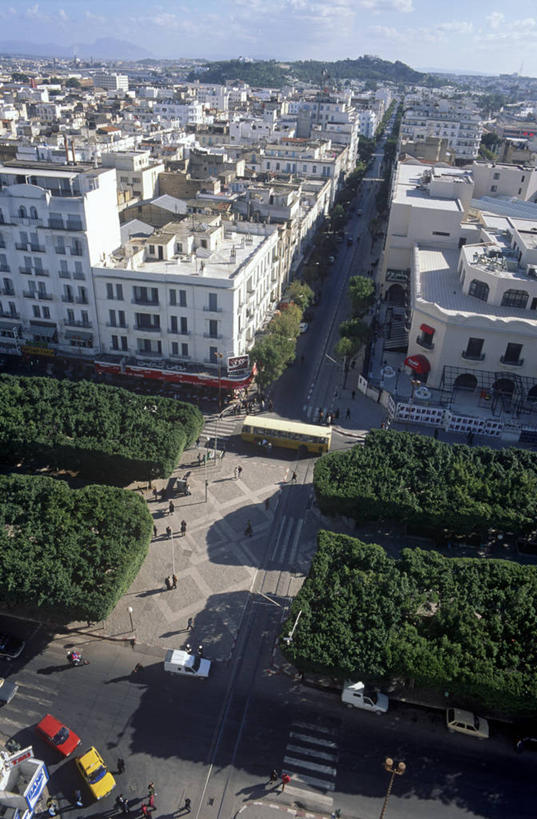 无人,竖图,俯视,航拍,非洲,突尼斯,首都,摄影,鸟瞰,北非,阿非利加洲,突尼斯共和国,突尼斯市,彩图,高角度拍摄,突尼斯省