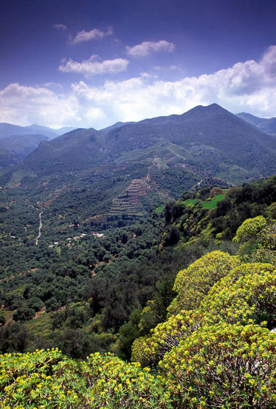 无人,竖图,希腊,欧洲,地形,摄影,地中海文化,克里特岛,干尼亚,彩图,旅行