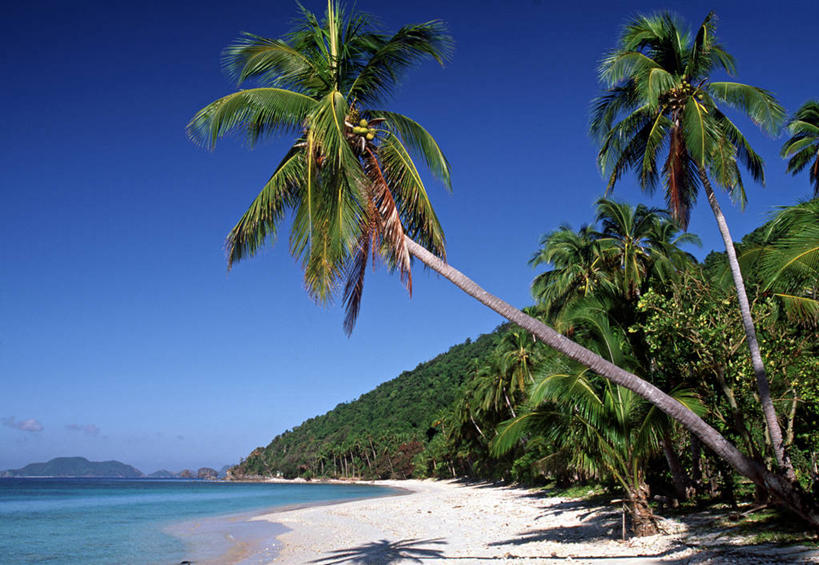 无人,横图,室外,棕榈树,菲律宾,亚洲,摄影,热带气候,巴拉望,海滩,彩图