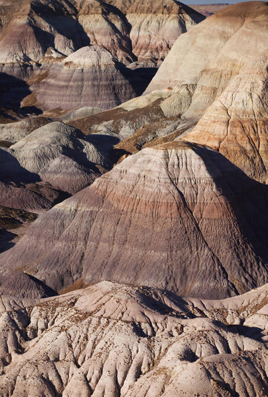 无人,竖图,室外,美国,地形,摄影,亚利桑那,北美,北美洲,国家公园,美洲,北亚美利加洲,亚美利加洲,石化森林国家公园,彩图,美利坚合众国