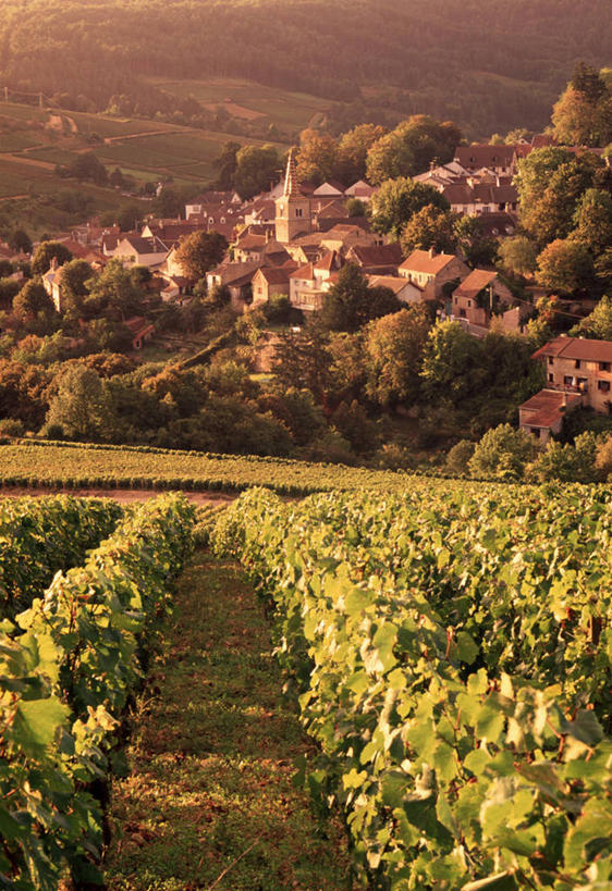 无人,竖图,法国,欧洲,地形,乡村,城镇,摄影,勃艮第,西欧,法兰西,法国文化,法兰西共和国,法兰西第五共和国,勃艮第大区,科多尔省,布根地,彩图,佩尔南韦尔热莱塞