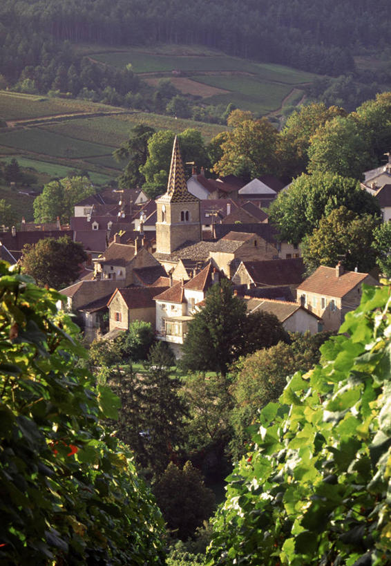 无人,竖图,法国,欧洲,地形,乡村,城镇,摄影,法国文化,科多尔省,布根地,彩图