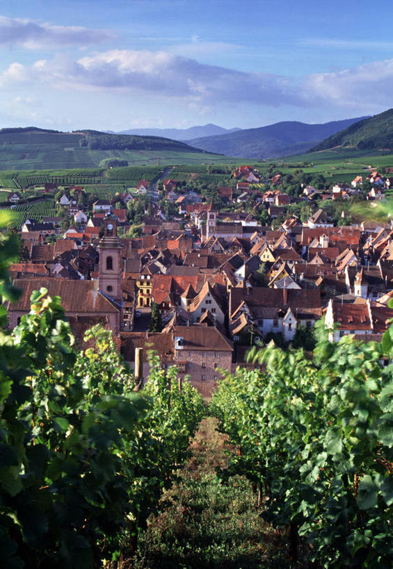 无人,竖图,室外,法国,欧洲,地形,乡村,葡萄园,摄影,阿尔萨斯,法国文化,彩图