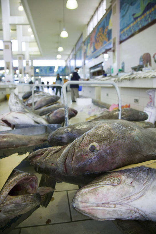 无人,竖图,室内,科威特,亚洲,首都,摄影,中东,西亚,波斯湾,科威特国,科威特城,彩图,阿拉伯半岛