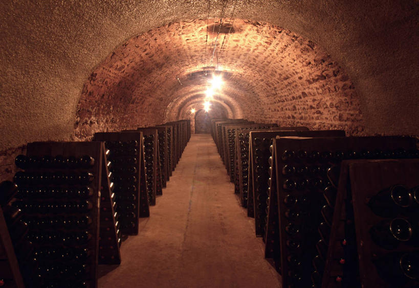 无人,横图,室外,法国,欧洲,酒窖,葡萄园,香槟,摄影,西欧,法兰西,法国文化,法兰西共和国,法兰西第五共和国,香槟.阿登,香槟.阿登大区,马恩省,彩图