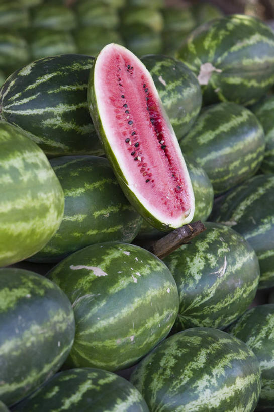 无人,竖图,西瓜,墨西哥,美国,摄影,北美,北美洲,中美洲,拉丁美洲,美洲,北亚美利加洲,亚美利加洲,科利马,彩图,美利坚合众国