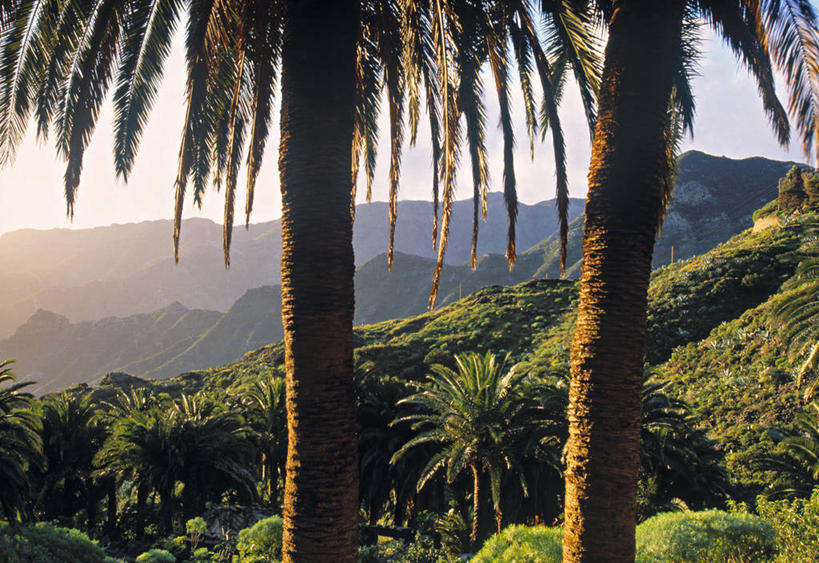 无人,横图,西班牙,欧洲,大西洋,摄影,加那利群岛,大西洋群岛,彩图