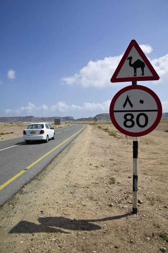 无人,竖图,路,阿曼,摄影,中东,驾车,波斯湾,阿拉伯,彩图,阿拉伯半岛