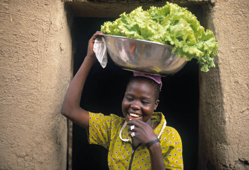 成年人,一个人,横图,非洲,马里,仅一个女性,门口,摄影,运送,肖像,女人,彩图