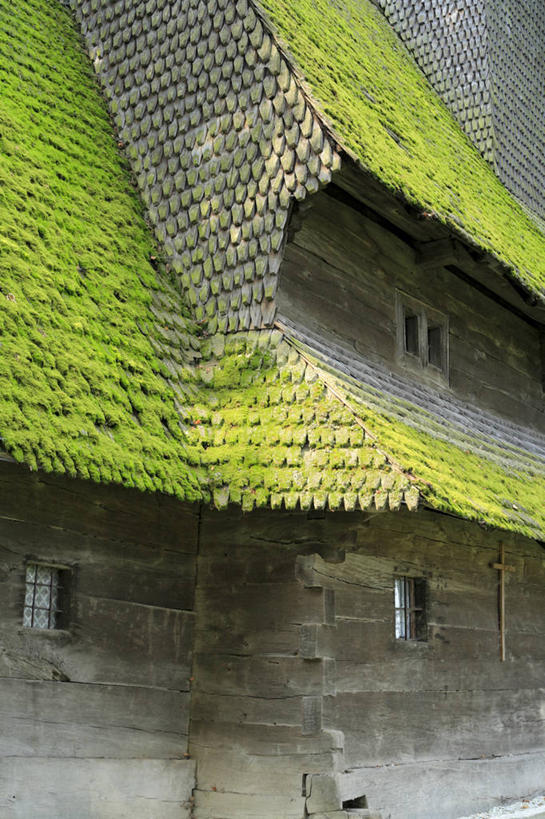 无人,竖图,欧洲,乌克兰,摄影,东欧,彩图