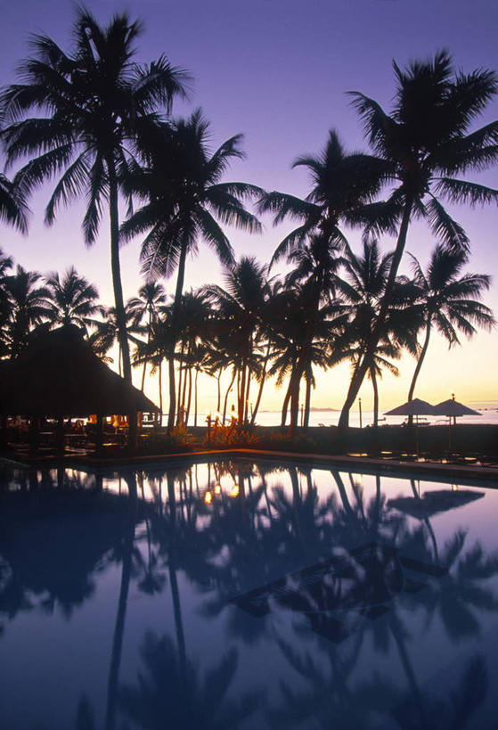 无人,游泳池,竖图,旅游,度假,酒店,棕榈树,斐济,岛,娱乐,享受,休闲,放松,摄影,热带气候,南太平洋,彩图,旅行