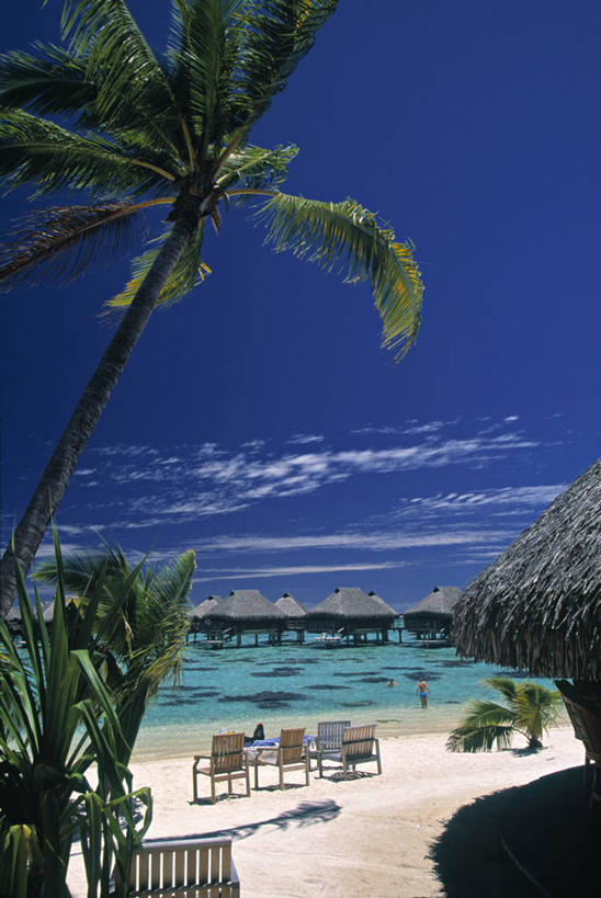 无人,竖图,室外,旅游,度假,酒店,娱乐,享受,休闲,放松,摄影,热带气候,大洋洲,法属波利尼西亚,社会群岛,法属玻利尼西亚,南太平洋,海滩,彩图,旅行,小屋,法国海外领土