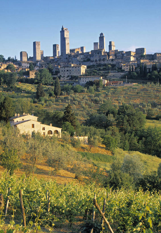 无人,竖图,室外,农业,山,建筑,意大利,欧洲,塞浦路斯,乡村,塔,葡萄园,摄影,西欧,南欧,意大利文化,托斯卡纳区,白杨,圣吉米尼亚诺,兰花,彩图