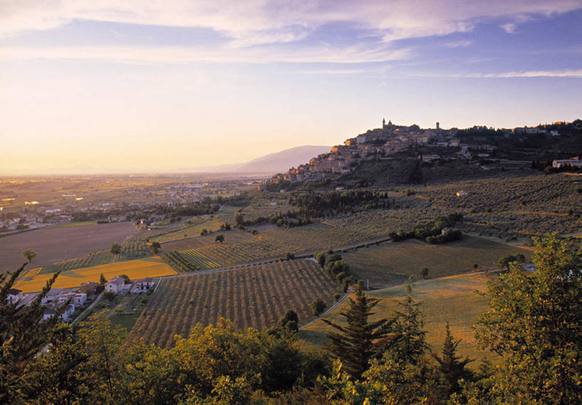 无人,果园,横图,俯视,室外,农业,日落,意大利,欧洲,地形,田地,乡村,黄昏,摄影,西欧,南欧,意大利文化,翁布里亚大区,彩图,高角度拍摄