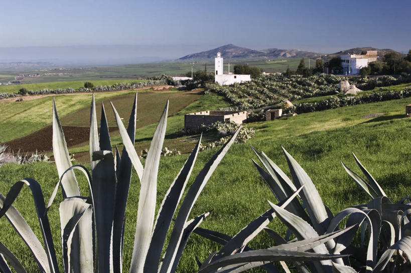 无人,横图,非洲,摩洛哥,乡村,摄影,清真寺,北非,阿非利加洲,摩洛哥王国,梅克内斯,摩洛哥文化,彩图