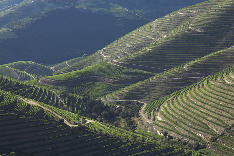 无人,横图,室外,葡萄牙,欧洲,北,葡萄园,杜罗河,摄影,西欧,伊比利亚半岛,彩图
