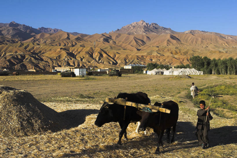 儿童,横图,阿富汗,亚洲,地形,摄影,中亚,野牛,彩图